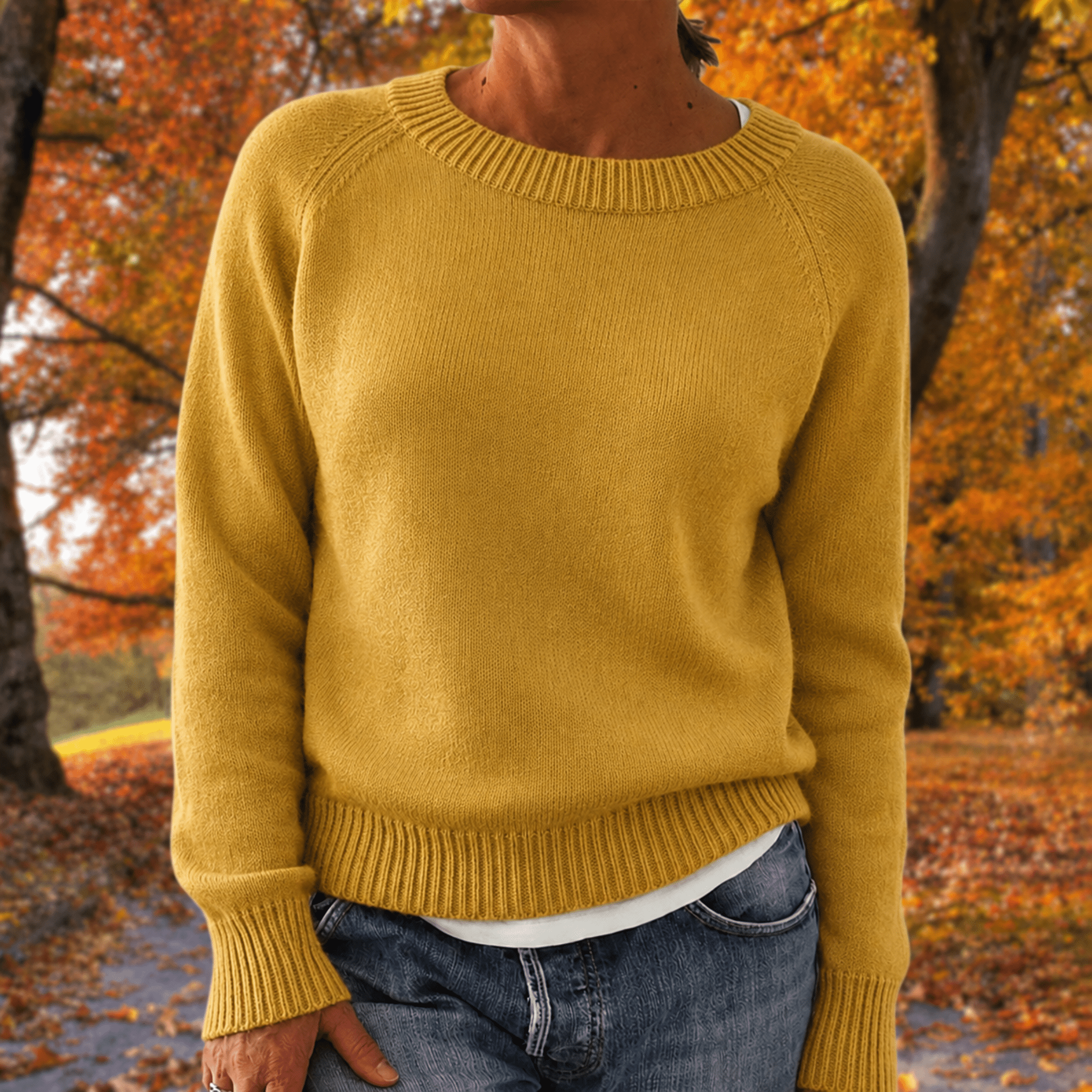 Anneliese - Women's Relaxed Fit Raglan Sleeve Jumper with Ribbed Trim - Sweaters - Yellow - Taylor & Bennett